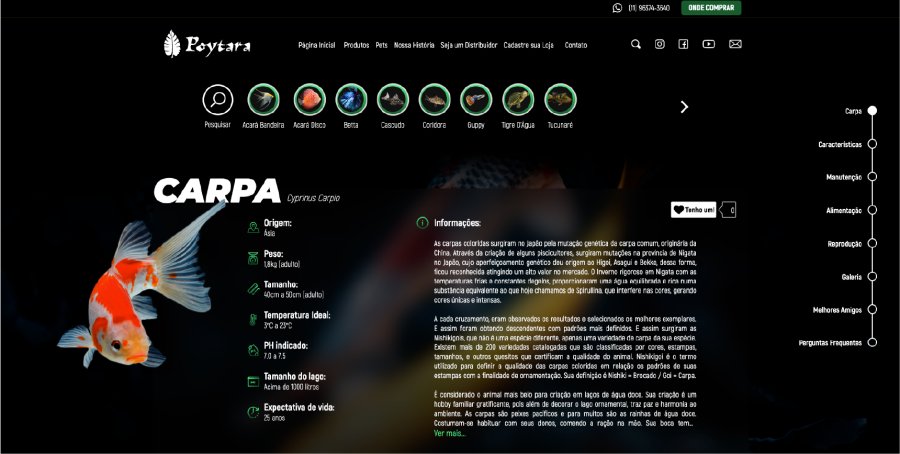 Destaque poytara webdesign